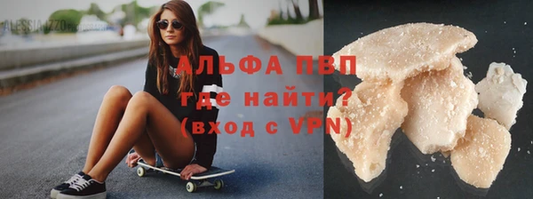 сатива Покачи