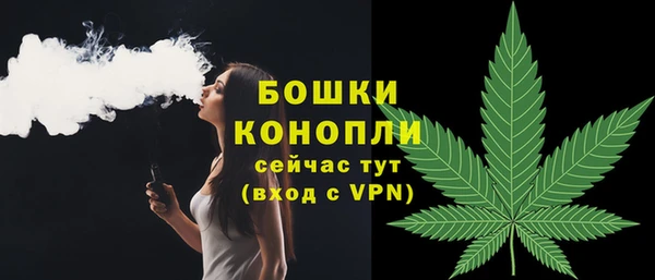 сатива Покачи