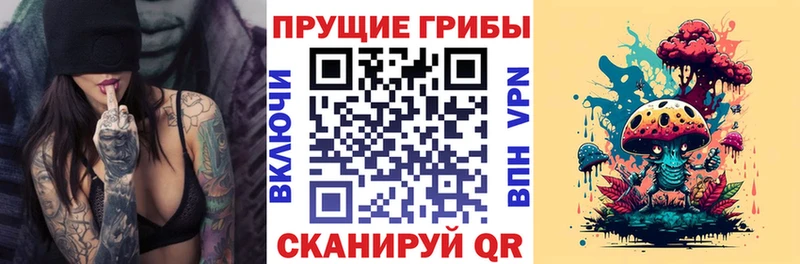 даркнет сайт  Азов  hydra ссылки  Галлюциногенные грибы мухоморы 